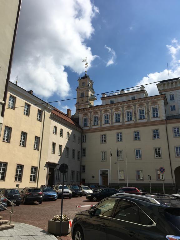 Апартаменти Skapas Street Аеропорт Вільнюс Екстер'єр фото