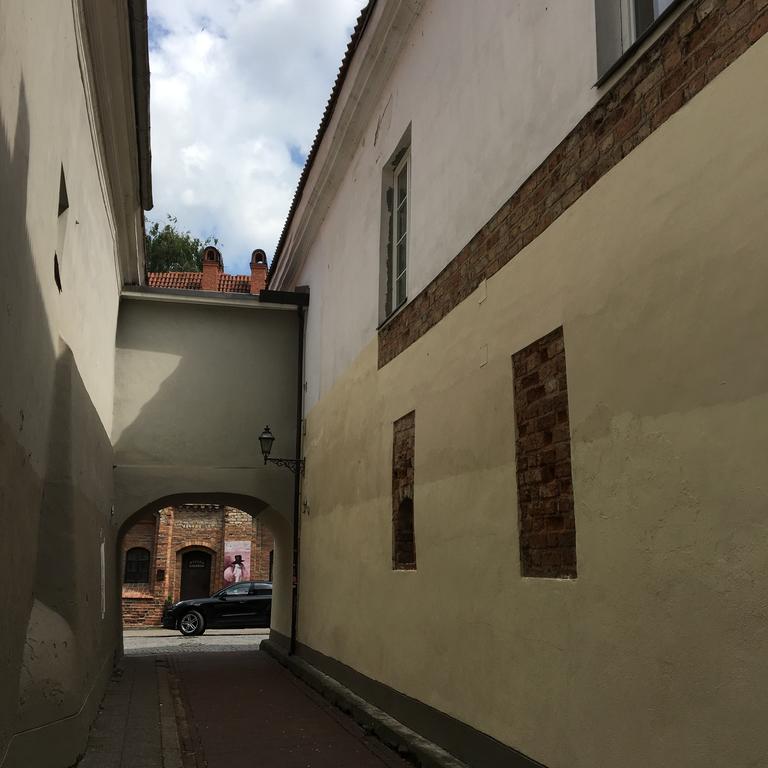 Апартаменти Skapas Street Аеропорт Вільнюс Екстер'єр фото